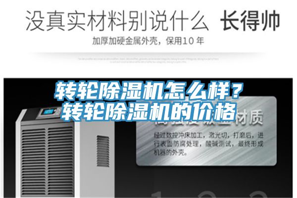 轉輪91看片网站怎麽樣？轉輪91看片网站的價格