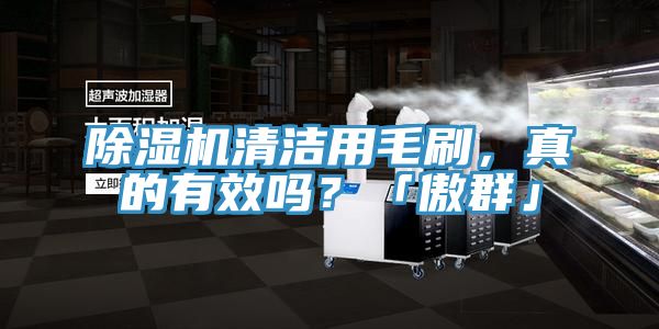 91看片网站清潔用毛刷，真的有效嗎？「傲群」