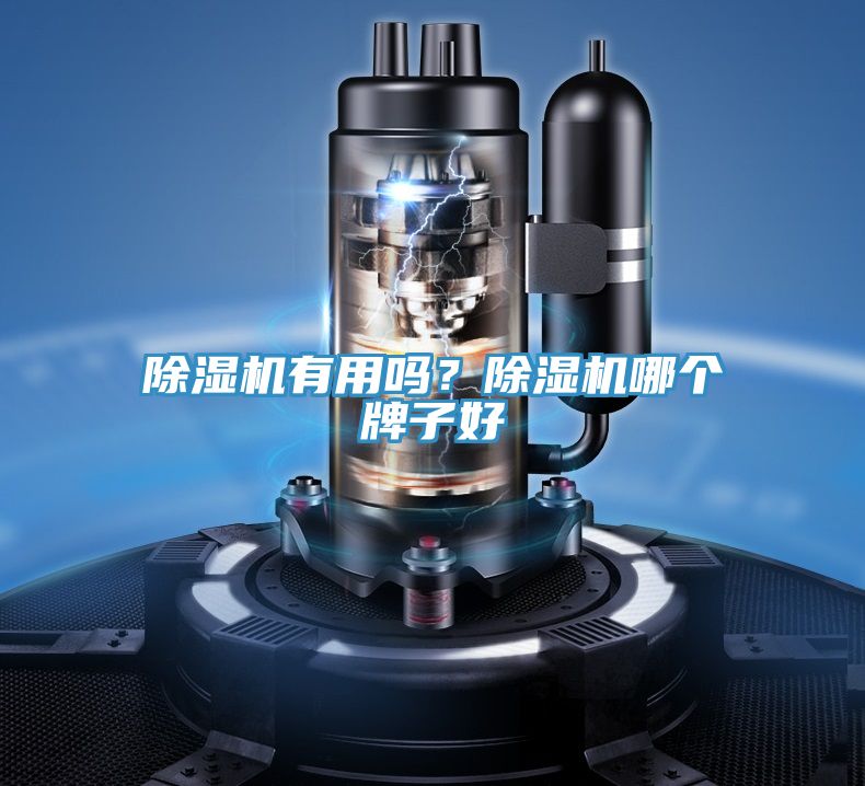 91看片网站有用嗎？91看片网站哪個牌子好