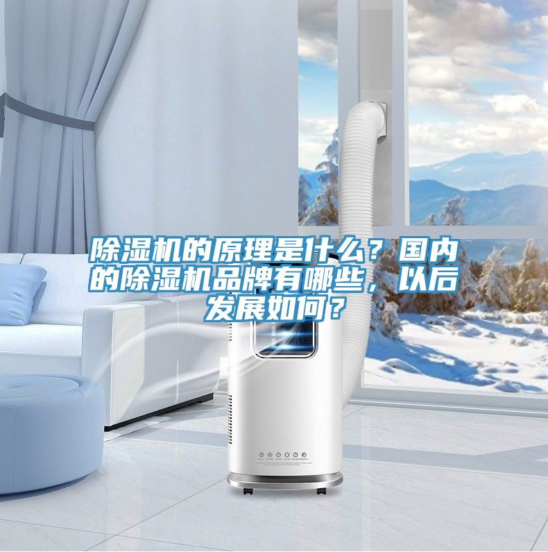 91看片网站的原理是什麽？國內的91看片网站品牌有哪些，以後發展如何？