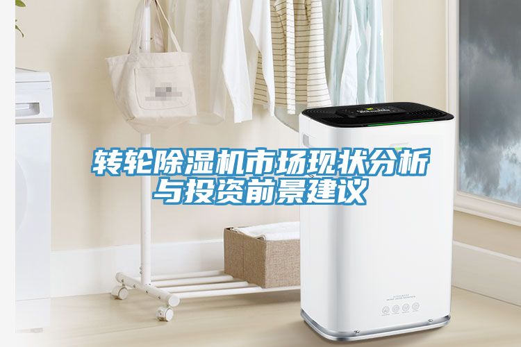 轉輪91看片网站市場現狀分析與投資前景建議