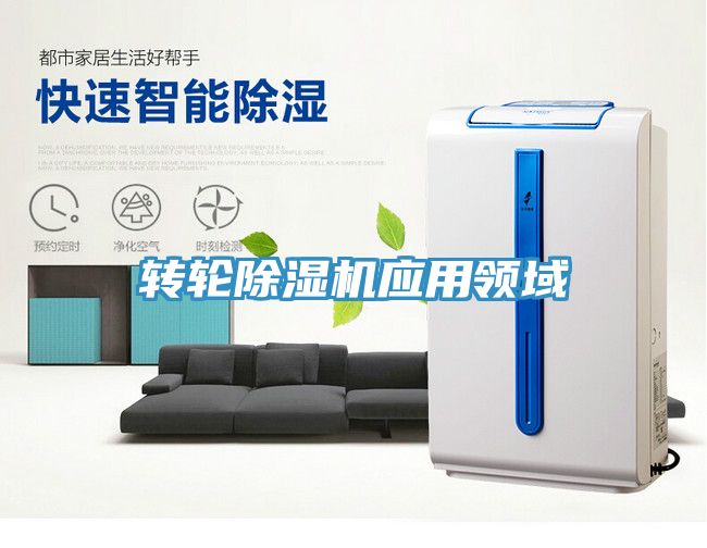 轉輪91看片网站應用領域