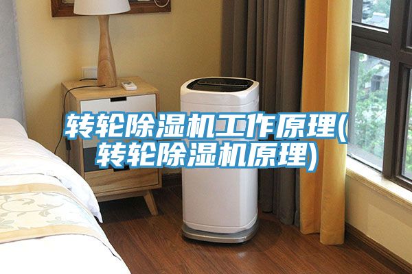 轉輪91看片网站工作原理(轉輪91看片网站原理)