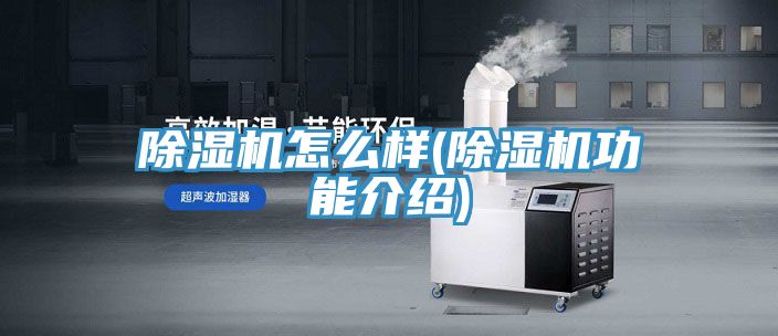 91看片网站怎麽樣(91看片网站功能介紹)