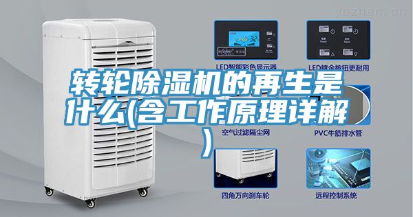 轉輪91看片网站的再生是什麽(含工作原理詳解)