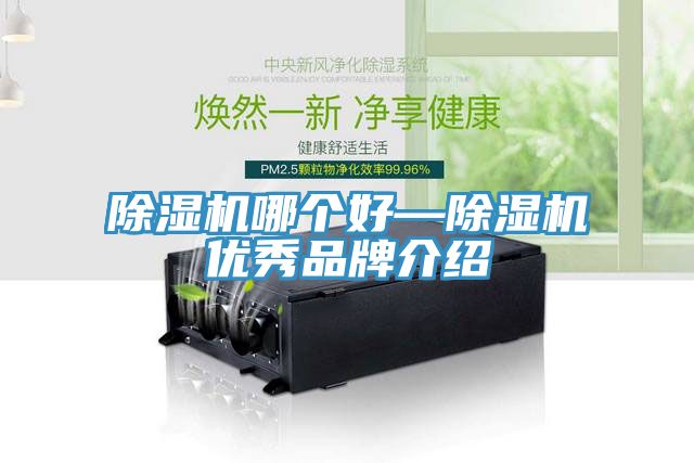 91看片网站哪個好—91看片网站優秀品牌介紹