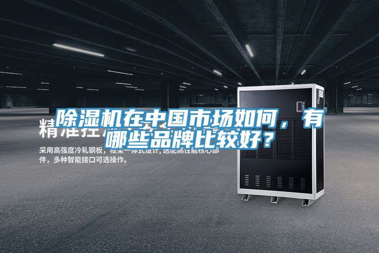 91看片网站在中國市場如何，有哪些品牌比較好？