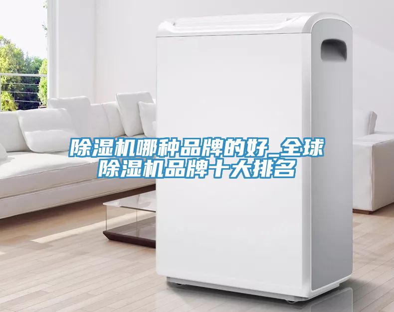 91看片网站哪種品牌的好_全球91看片网站品牌十大排名
