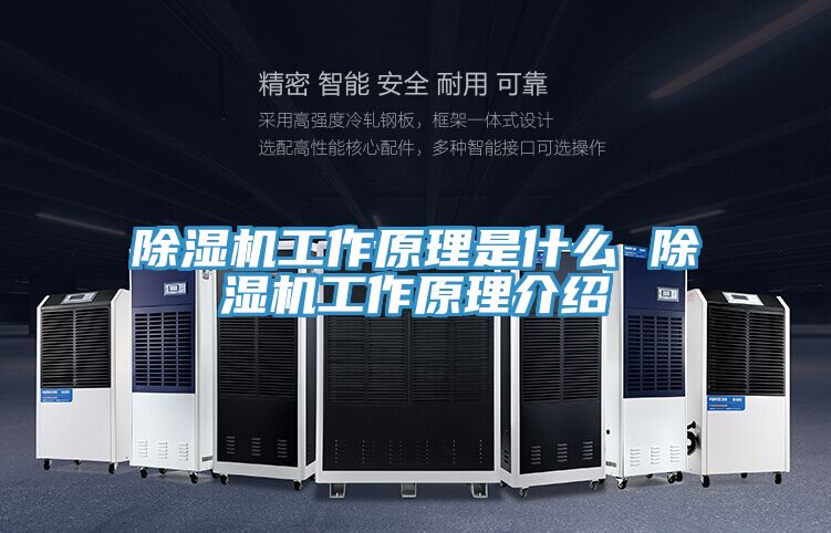 91看片网站工作原理是什麽 91看片网站工作原理介紹