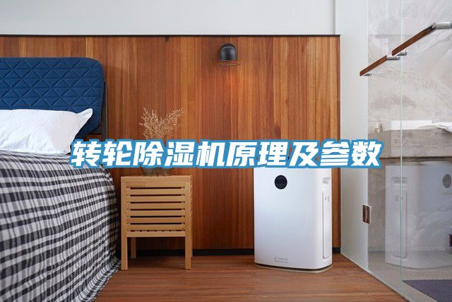 轉輪91看片网站原理及參數