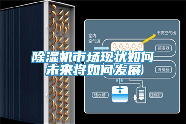 91看片网站市場現狀如何未來將如何發展