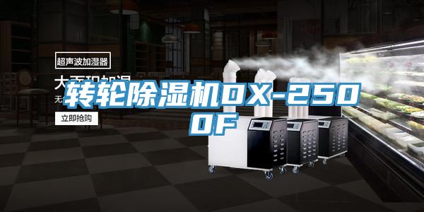 轉輪91看片网站DX-2500F