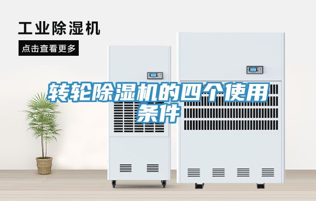轉輪91看片网站的四個使用條件