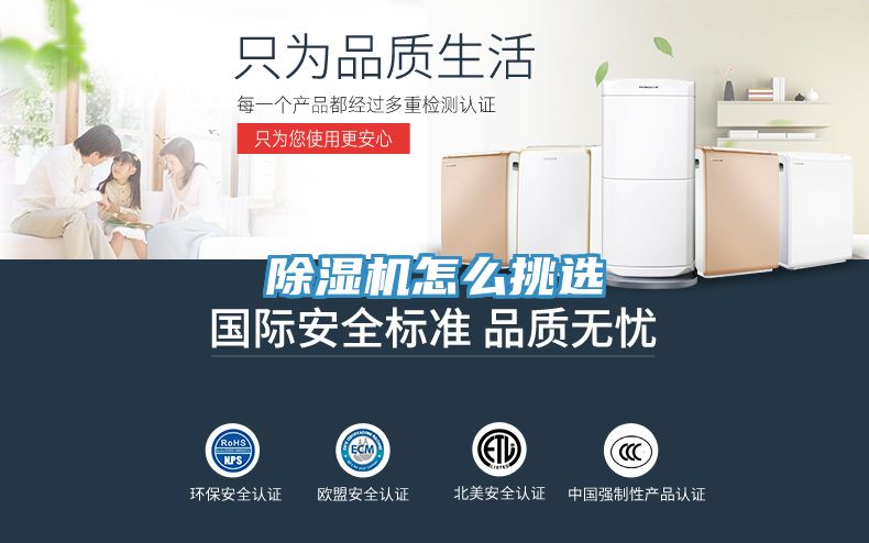 91看片网站怎麽挑選