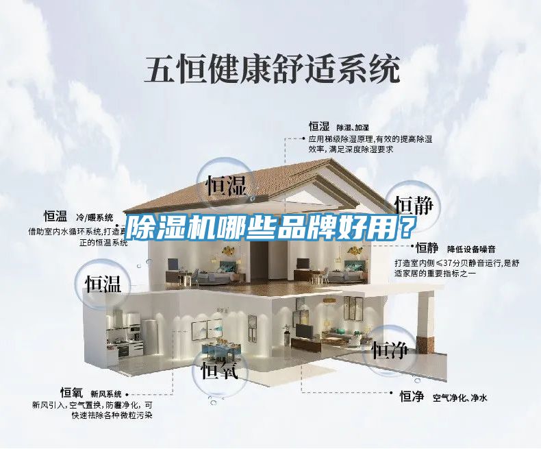 91看片网站哪些品牌好用？