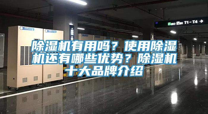 91看片网站有用嗎？使用91看片网站還有哪些優勢？91看片网站十大品牌介紹
