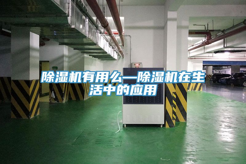 91看片网站有用麽—91看片网站在生活中的應用