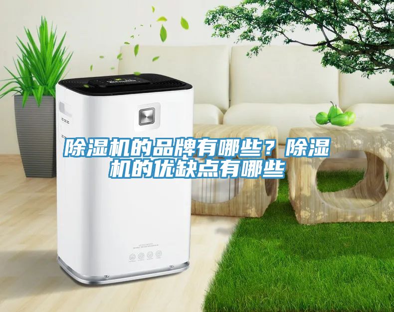 91看片网站的品牌有哪些？91看片网站的優缺點有哪些
