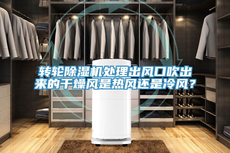 轉輪91看片网站處理出風口吹出來的幹燥風是熱風還是冷風？