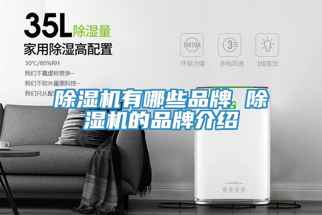 91看片网站有哪些品牌 91看片网站的品牌介紹