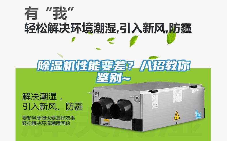 91看片网站性能變差？八招教你鑒別~