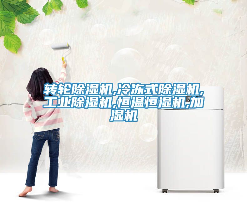 轉輪91看片网站,冷凍式91看片网站,工業91看片网站,恒溫恒濕機,加濕機