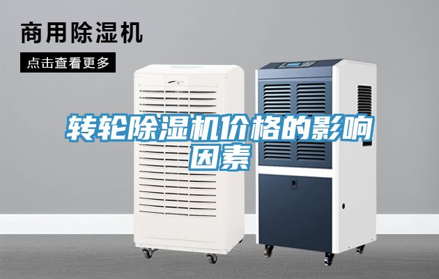 轉輪91看片网站價格的影響因素