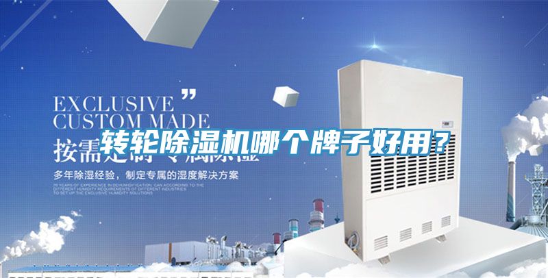 轉輪91看片网站哪個牌子好用？