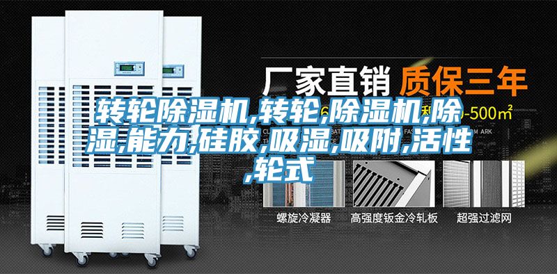 轉輪91看片网站,轉輪,91看片网站,除濕,能力,矽膠,吸濕,吸附,活性,輪式
