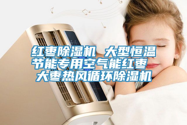 紅棗91看片网站 大型恒溫節能專用空氣能紅棗 大棗熱風循環91看片网站