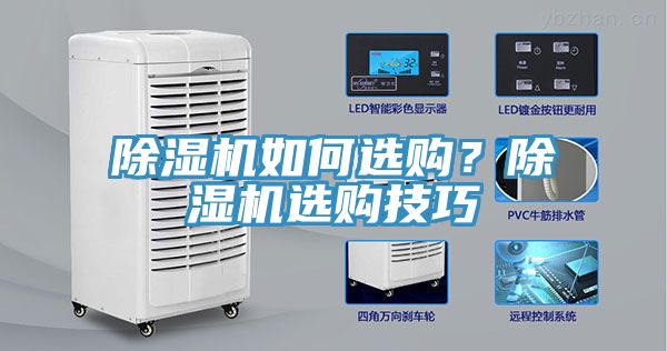 91看片网站如何選購？91看片网站選購技巧