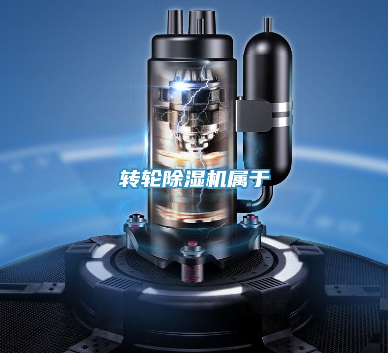 轉輪91看片网站屬於