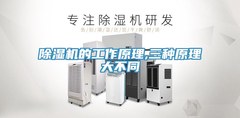 91看片网站的工作原理,三種原理大不同