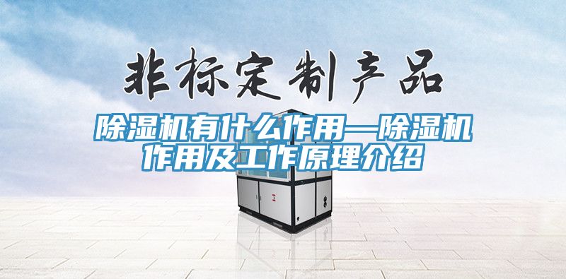 91看片网站有什麽作用—91看片网站作用及工作原理介紹