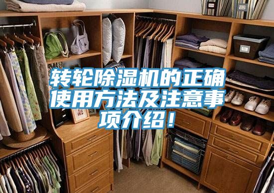 轉輪91看片网站的正確使用方法及注意事項介紹！