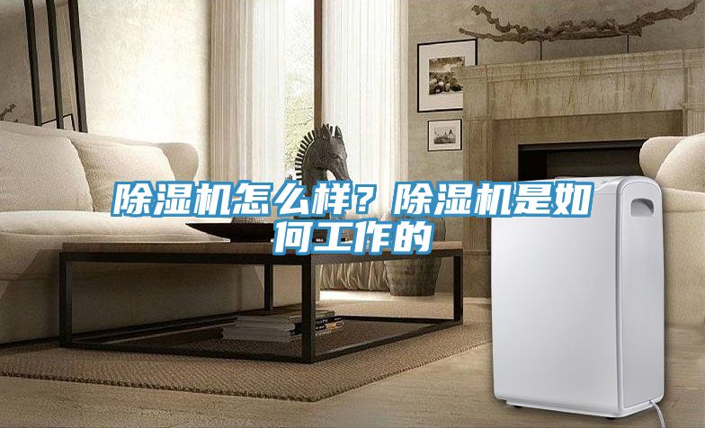 91看片网站怎麽樣？91看片网站是如何工作的