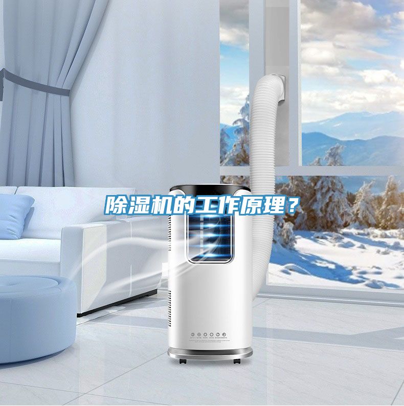 91看片网站的工作原理？