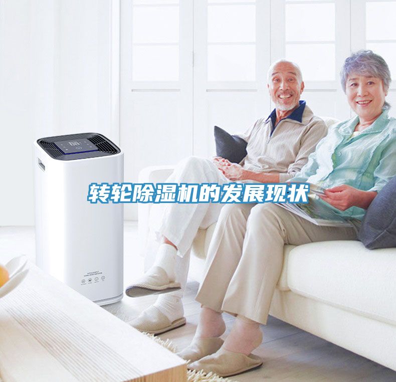 轉輪91看片网站的發展現狀