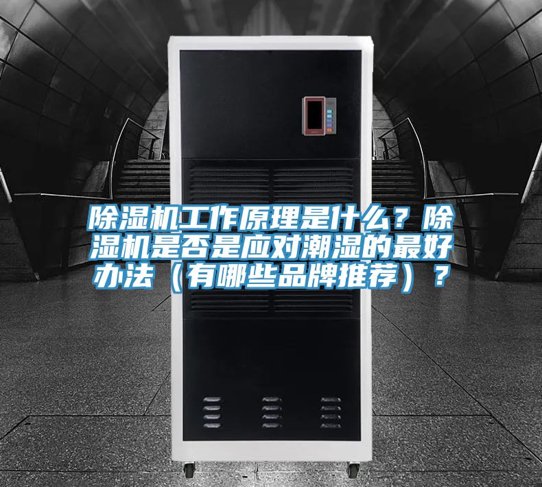 91看片网站工作原理是什麽？91看片网站是否是應對潮濕的最好辦法（有哪些品牌推薦）？