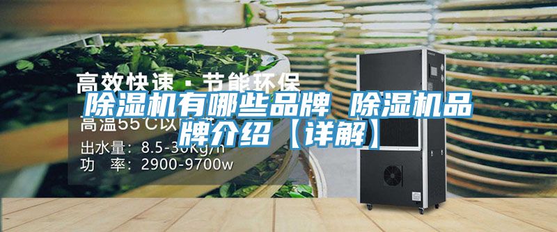 91看片网站有哪些品牌 91看片网站品牌介紹【詳解】
