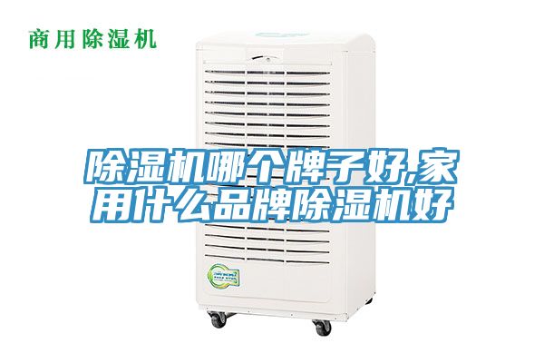 91看片网站哪個牌子好,家用什麽品牌91看片网站好