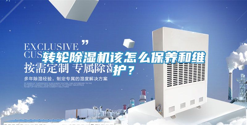 轉輪91看片网站該怎麽保養和維護？