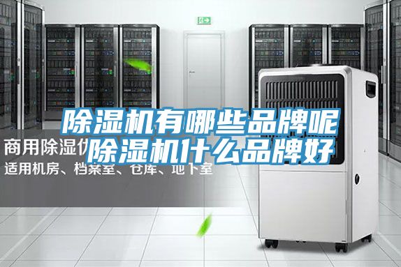 91看片网站有哪些品牌呢 91看片网站什麽品牌好
