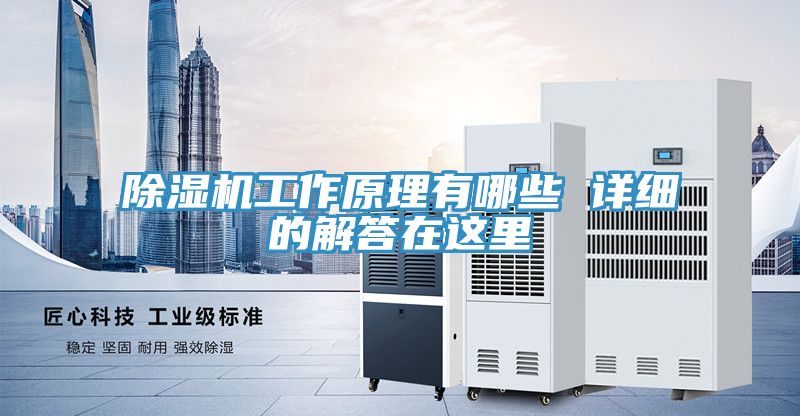 91看片网站工作原理有哪些 詳細的解答在這裏
