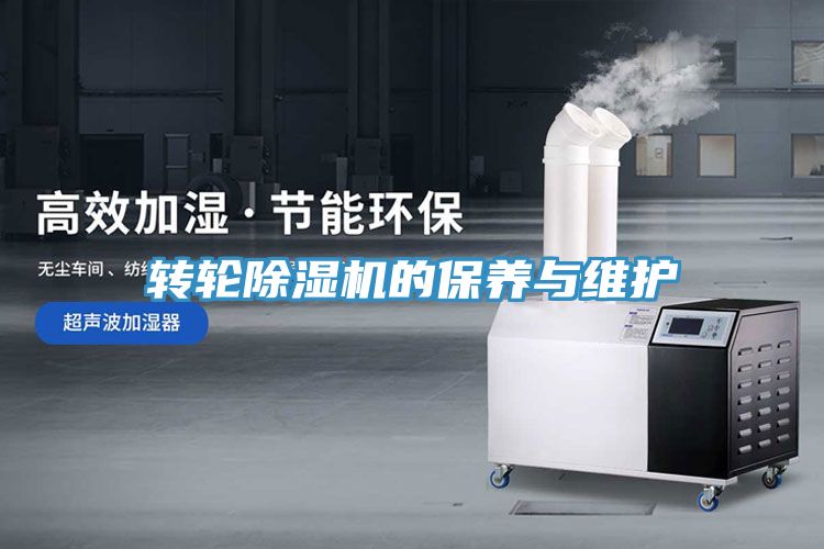 轉輪91看片网站的保養與維護
