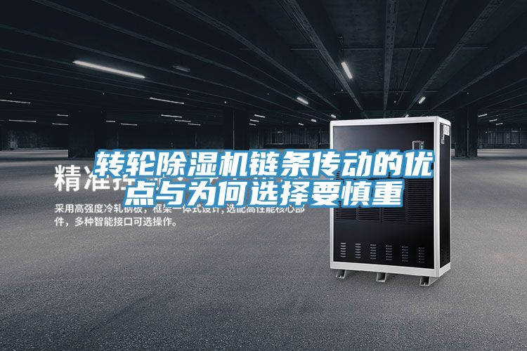 轉輪91看片网站鏈條傳動的優點與為何選擇要慎重