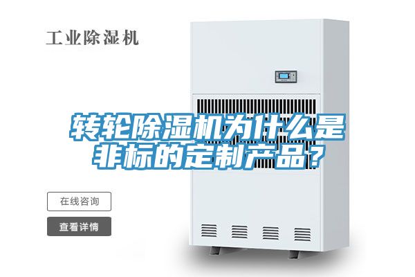 轉輪91看片网站為什麽是非標的定製產品？