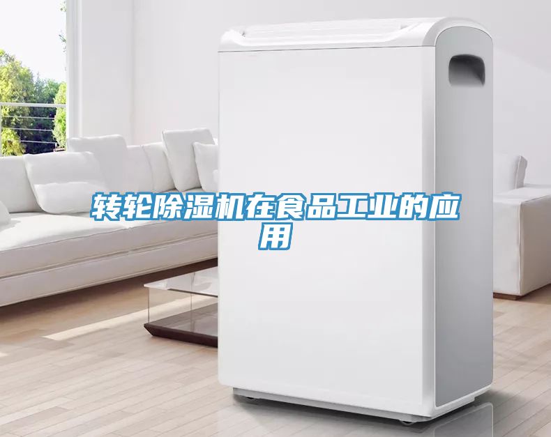 轉輪91看片网站在食品工業的應用