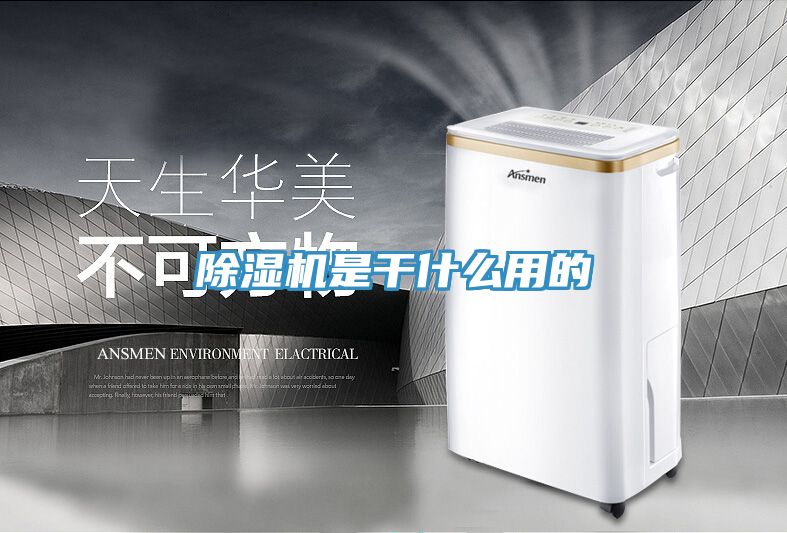 91看片网站是幹什麽用的