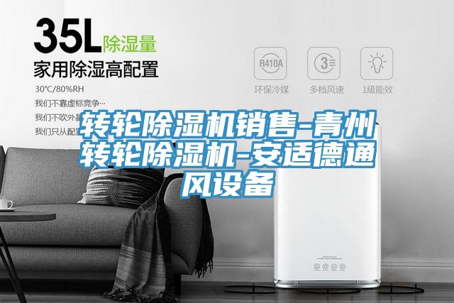 轉輪91看片网站銷售-青州轉輪91看片网站-安適德通風設備
